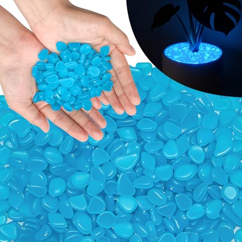 PoYang 1000pcs Glow in The Dark Rocks Outdoor - Blue Resin Glowing Pebbles for Landscaping, Garden, Fish Tank and Aquarium Indoor Decor, Powered by Sunlight or Lamplight (0.4"-0.7"/pc, 1.2lbs/Bag) - color: Blue