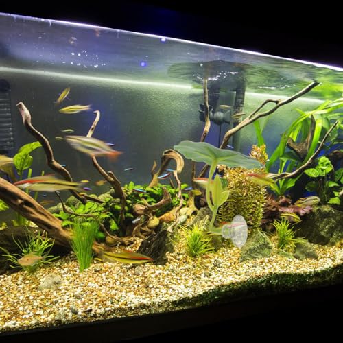 Betta Lotus Leaf Bed Aquarium Floating Decor Fish Tank Accessories Betta Resting Spot and Hideaway Artificial Lotus Leaf 2.55X2.28X2.12In