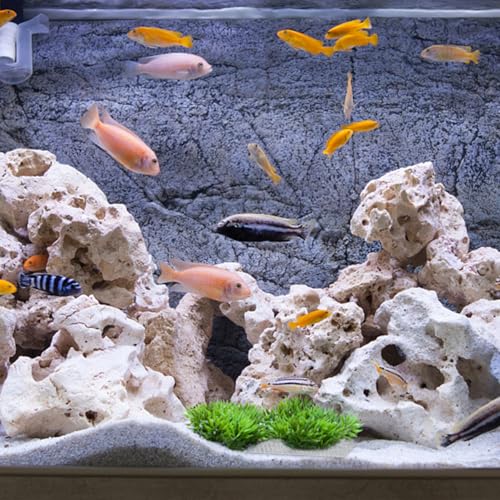 balacoo 10pcs Aquarium Mesh Screen Stainless Steel Wire Mesh Pad Fish Tank Plants Moss Net for Aquatic Plants Decor