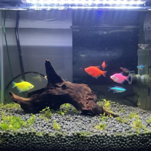 emours Aquarium Driftwood Fish Tank Decoration Varies Shape and Size (Medium) - size: Medium