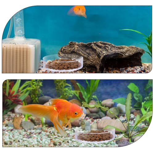 2 Pcs Shrimp Feeding Dish, Aquarium Feeding Dish, Fish Tank Feeder Dishes, Clear Aquarium Shrimp Feeders Bowl Freshwater Tray Feeder, 60mm/80mm