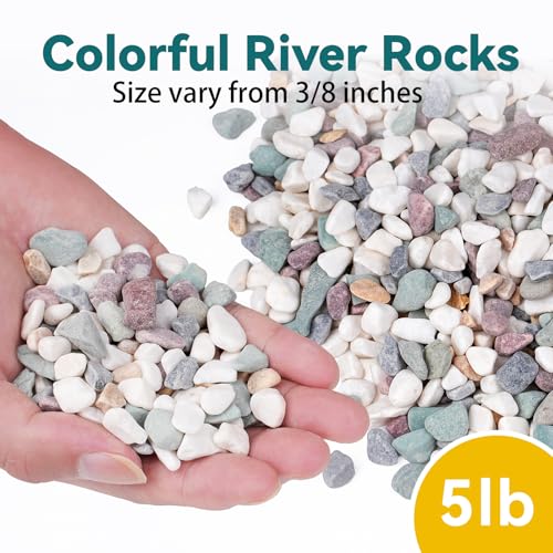 5 lbs Natural Pea Gravel Pebbles for Aquarium, Fish Tank, 3/8 inch Decorative Pebbles for Indoor Plants, Succulent, Bamboo, Vase, Drainage Rocks for Potted Plants, Top Dressing, Mixed Color - color: Colorful Mixed