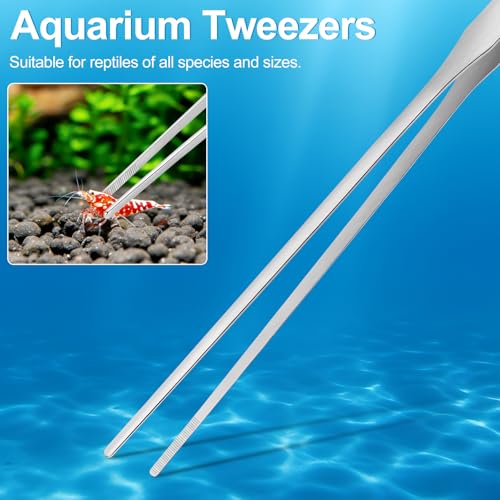 Terrarium Supplies 3 PCS, Stainless Steel Aquarium Supplies Set, Include Long Aquarium Tweezers, Curved Tweezers, Algae Scraper for Fish Tank Cleaning Plant Trimming