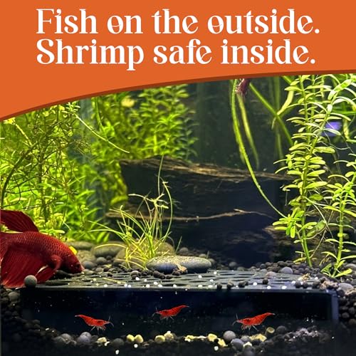 CTWPets Shrimp Breeding Protector | Shrimp Breeding Cave Aquarium Tunnel (Black) - color: Black