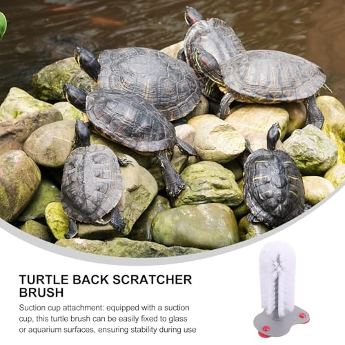 minkissy Turtle Brush with Suction Cup for Aquarium Soft Bristle Scrubber for Turtle Shell Cleaning and Back Scratching Red Suction Pad for Reptile Health