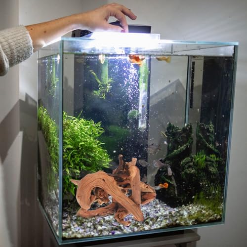 4pcs Aquarium Driftwood Branches for Fish Tank Décor, Natural Sinkable Wood Logs 15-20cm for Freshwater Fish Habitat and Reptile Hideout