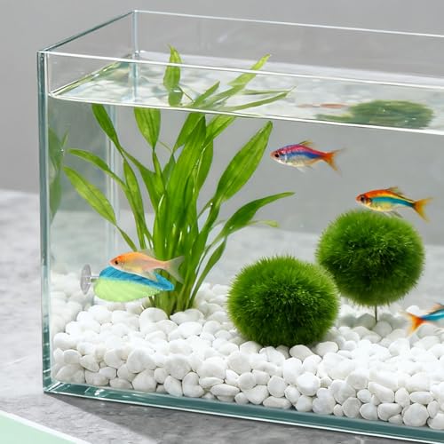 Betta Fish Tank Accessories, 2 Pack Plastic Gradient Leaf Decoration Resting Hammock with Suction Cups, Aquarium Decoration, Beta Fish Tank Decor
