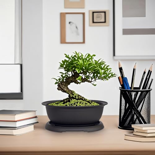 MUZHI 3 Pack Oval Bonsai Training Pot with Drainage Tray, Matte Finish Nursery Plastic Bonsai Planter with 25PCS 2inch Mesh pad (5.2" Small) - size: 5.2" Small