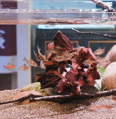 Natural Wood Aquarium Cave Betta Fish Hideout for Aquarium Fish Tank Decorations-Reptile Hide-Snake Hide-Cave for Cichlids Habitat Shelter for Crayfish Shrimp and Other Aquatic Pets 9-11.8" - color: multi-hole, size: 10.2-11.8 Inch