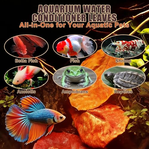 Indian Almond Leaves for Betta Fish,20Pcs Catappa,60Pcs Longan & 0.7oz Oak Leaves,Aquarium Water Conditioner Leaf,pH Balancing Water Conditioner Leaf for Betta Fish,Shrimp,Frogs,Axolotl Tanks