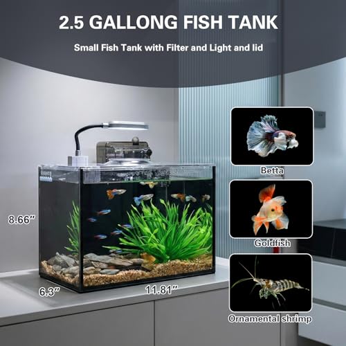 2.5 Gallon Nano Aquarium Kit, Glass Small Fish Tank Starter Kit with Light, Filter, Gravel Rock,Lid. Ultra Clear Rimless Desktop Fish Tank for Small Fish,Betta,Shrimp.Complete Version, Black - size: 2.5 Gallon (Complete Kit) ﻿