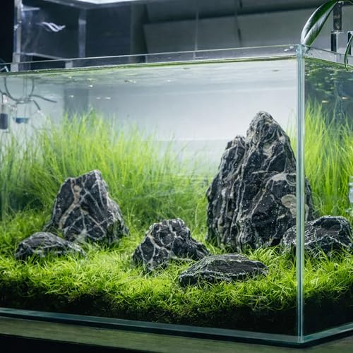 6.1-8.1 Inches Natural Seiryu Stone, 6 PCS Large Aquarium Rocks for Aquascaping, Iwagumi Layouts, Terrariums & Aquarium Décor