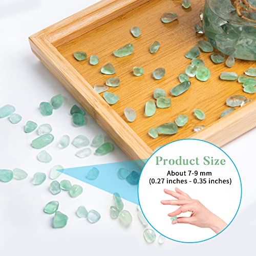 QICQDRAM Natural Green Flourite Crystals Bulk 0.9 Lb/405g Small Tumbled Chips Crystal Stone Decorative Pebbles for Home Decoration & Fish Turtle Tank, Vase Filler, Plants Decor - color: Green Flourite