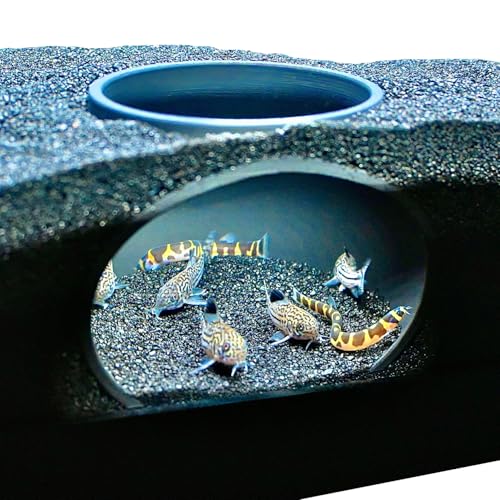 Aquarium Underground Cave Dome | Viewing Fish & Shrimp Under Gravel Tunnel | Fish Tank Decor Decoration Hideout Perfect for Corydora Catfish, Kuhli Loach, Clown Loach, Pleco - color: Black