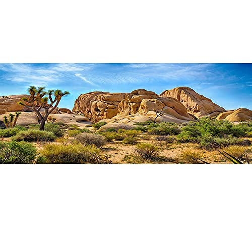 30x12 inches Joshua Tree National Park Natural Photography for Aquarium Backdrop American Western Desert Weathering Rock Drought-Tolerant Plant Cactus Photo Terrarium Background - size: 36x14in-P