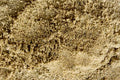Fine Masonry Sand, Washed & Screened, for Mortar, Paver Joints, and Leveling Base (10 lbs) - size: 10 lbs