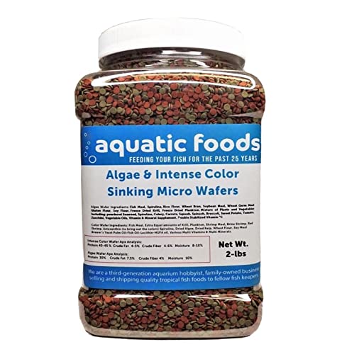3.5mm - 1/8" Micro Wafer Mix of Spirulina Algae & Intense Color Enhancing Sinking Micro Wafers for Catfish, Plecos, Bottom Fish, Shrimp, Crabs, All Tropical Fish..2-lb Med Jar - size: 2 Pound (Pack of 1)