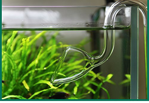 Glass Lily Pipe Outflow for Aquarium Planted Tank (13mm for 12/16mm (1/2" ID) tubing)
