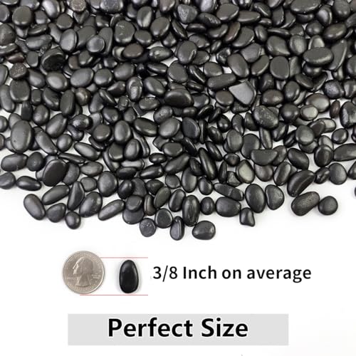 YISZM 5LB Succulent and Cactus Black Pebbles, 3/8 Inch Natural Decorative Polished Stones, River Rocks for Indoor Plants, Vases, Planters and Outdoor Gardening - color: Black, size: 5 Pounds