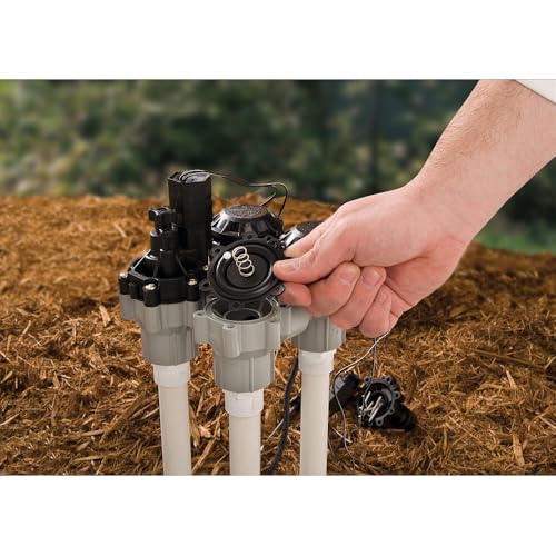 Rain Bird DASASVF100 Professional Grade Anti-Siphon Valve with Flow Control, 1" Threaded Female x Female - size: 1 Inch