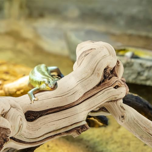 Janinka 14-17" Length Large Wood Reptile Branch for Bearded Dragon Driftwood Reptile Climbing Habitat Decoration for Terrarium Tree Trunk Ornament Gecko Frog Chameleon Spider - size: 14-17"