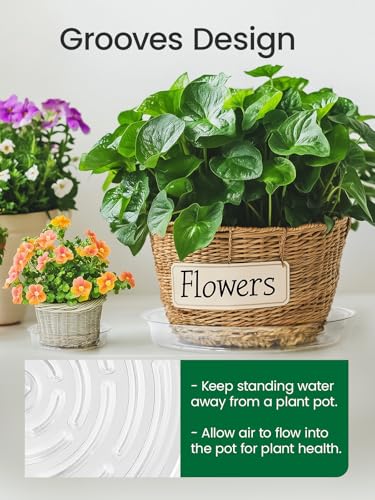 GROWNEER 15 Pack of 6, 8, 10 Inches Clear Plant Saucers Flower Pot Trays, with 15 Pcs Plant Labels, Plastic Plant Drip Trays for Indoor Outdoor Plants Garden, 5pcs of Each Size - size: 6,8,10 Inch, 15-Pack