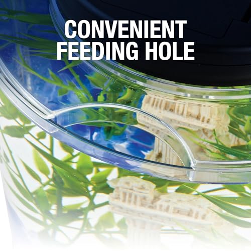 Tetra LED Half Moon Aquarium Kit, 1.1 Gallons, Small, Clear Plastic Fish Tank With Curved Front, Easy Feeding And Movable, Energy-Efficient LEDs Ideal For Bettas Great As Desk Aquarium