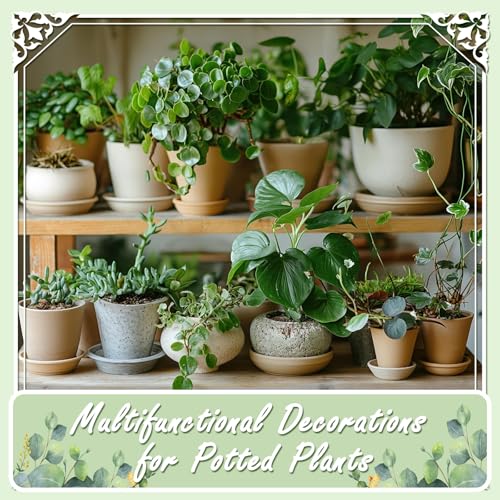 11lbs Black Natural River Rocks, High-Polished Pebbles for Plants Garden, 0.3-0.8 inch Decorative Stones, Ideal for Fish Tank, Vases, Home Decor and Garden Landscaping,Black - size: 11 Pounds, style: Black