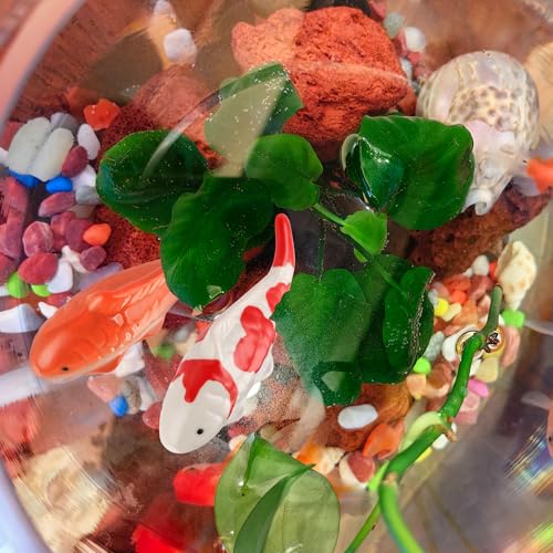 Ceramic Floating Fish Set, 2Pack Realistic Goldfish & Koi Figurines for Aquariums, Tea Pet Adornments, Fairy Garden Accents, and Pond or Desktop Decorations.