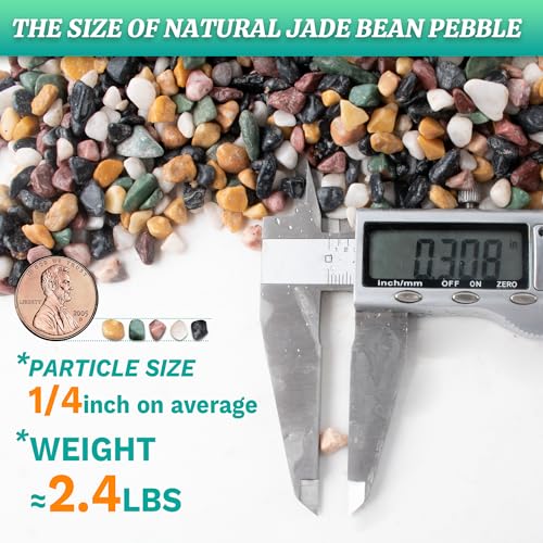 AVALUTION Aquarium Gravel for Plants -2.4lb Fish Tank Gravel for Succulent Cactus & Bonsai, 1/4Inch Decorative River Rocks Pebbles for Gardening, Flower Pots, Landscaping, Terrarium - color: Mix Gravel, size: 2.4LB