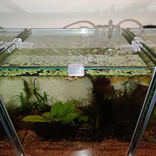Weilan Aquarium Lid Clips 8mm Fish Tank Glass Cover Lid Support Holder Clear Acrylic for Rimless Aquariums 12PCS Aquarium
