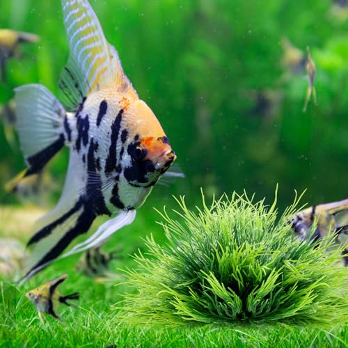 2pcs Aquarium Plants Decorations Artificial Fish Tank Plants Plastic Fish Tank Accessories Green Natural Style Aquarium Plants - color: Green