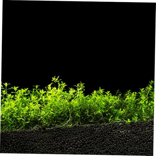 BESPORTBLE Aquarium Background Roll Self Adhesive PVC Sticker for Fish Tank Decor Versatile Background for Aquatic Environments Safe Easy Installation - color: Black