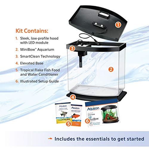 Aqueon LED MiniBow Small Aquarium Fish Tank Kit with SmartClean Technology, Black, 2.5 Gallon - color: Black, size: 2.5 Gallon