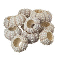 Nautical Crush Trading 12 Purple Sputnik 1.5-3" Sea Urchin Shells - Air Plant Holder - No Plants Included - size: 12 Pack
