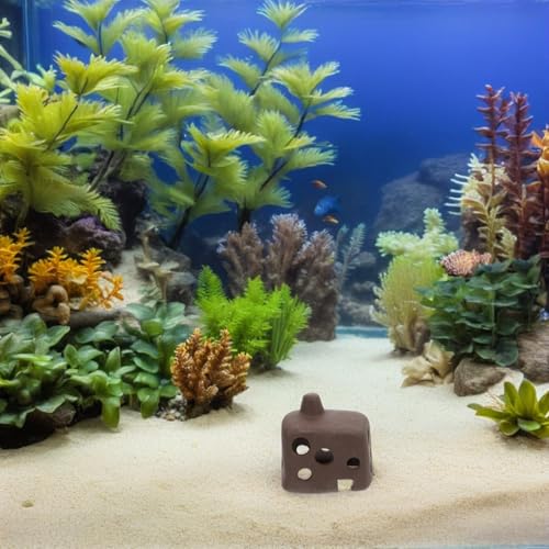 COHEALI 3pcs Irregular Porous Ceramic Fish Tank Shelter Cave for Aquarium Shrimp Breeding Hideout Small Fish Tank Landscape Decoration