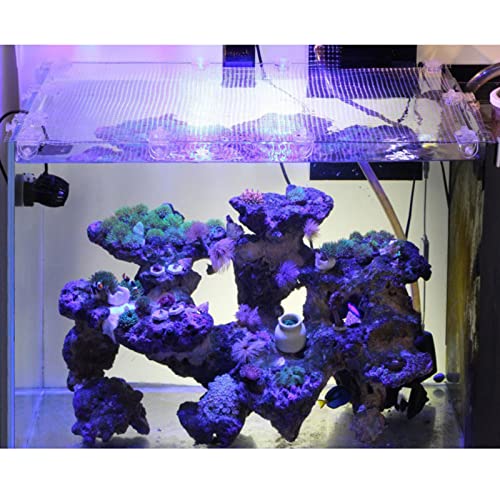 2Pcs Screen Net Holder Fish for Tank Clear Acrylic Mounting Clips Aquarium Cover Clamp Anti-Jump Clip Aquarium Screen Kit Fish Tank Anti Jump