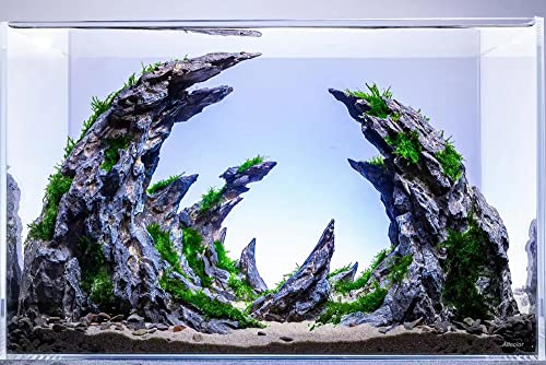 Allcolor Artisan Grade Ultra Clear Rimless Aquarium Tank, Low Iron Glass Fish Tank for Professional Aquascaping and Planted Layouts, 6-60 Gallons (15Gal-Top Glass Canopy) - size: 15Gal 20.8"L×11.8"W×14.1"H