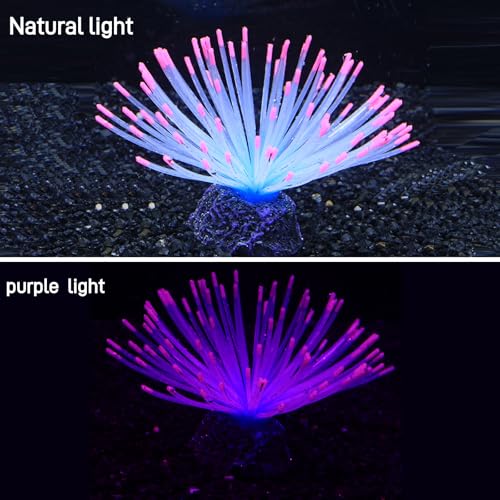 Fluorescent Rainbow Sea Urchin Aquarium Decor - Glows Under Blue Light, Weighted Silicone Ornament for Fish Tank with Swaying Spines, Saltwater & Freshwater, Vibrant Aquascape Centerpiece (Pink) - color: Pink