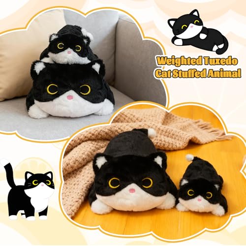 Cat Weighted Stuffed Animal, Black and White Cat Cute Plushies Soft Weighted Plush for Kids Boys Girls, Sensory Comfort Plush Pillow for Kids Christmas Birthday Gift,10in 0.8lbs - color: Black and White, size: ['10 inches (25 cm)']