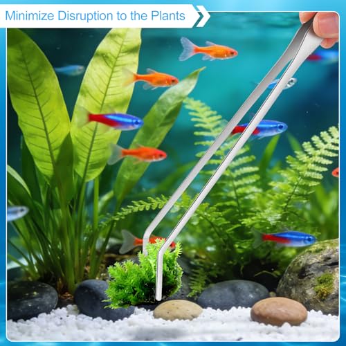 Terrarium Supplies 3 PCS, Stainless Steel Aquarium Supplies Set, Include Long Aquarium Tweezers, Curved Tweezers, Algae Scraper for Fish Tank Cleaning Plant Trimming