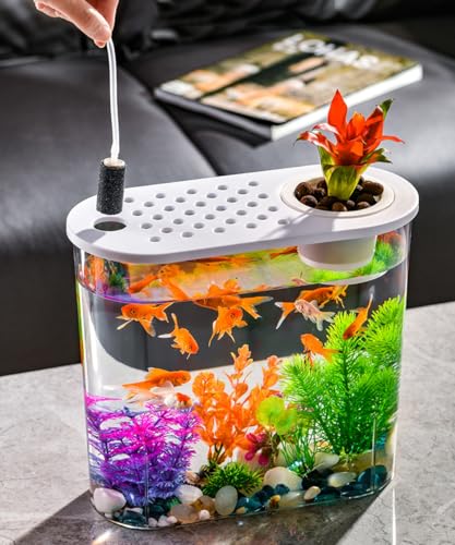 Small Fish Tank 2 Gallon, Desktop Mini Fish Tank, Starter Kits Betta Fish Tank with Decor Stones and Water Grass Decorations for Home or Office