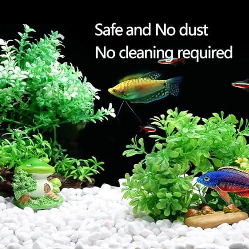 2.0 LB White Aquarium Gravel Pebbles 3/8", Natural Decorative Aquarium Substrate Small River Rocks, Mini Pebbles Stone for Fish Tank, Aquatic Plant Bonsai, Hydrophyte - size: 2.0 Lb