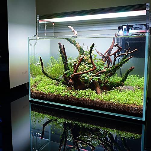 Ultum Nature Systems Controsoil - Freshwater Aqua Soil Substrate for Fish, Shrimp, Live Plant Propagation and Aquascaping - 6.8pH Low Ammonia, Volcanic Ash - Brown, Extra Fine (10 Liter) - color: Brown - Extra Fine, size: 10 Liters (9.1 kg)
