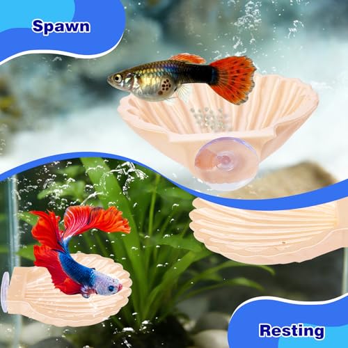 2pcs Betta Fish Shell Hammock, Large Aquarium Hammock Shell with Suction Cup, Shells Betta Resting Spot, Aquarium Decorations Accessories (Yellow) - color: Yellow