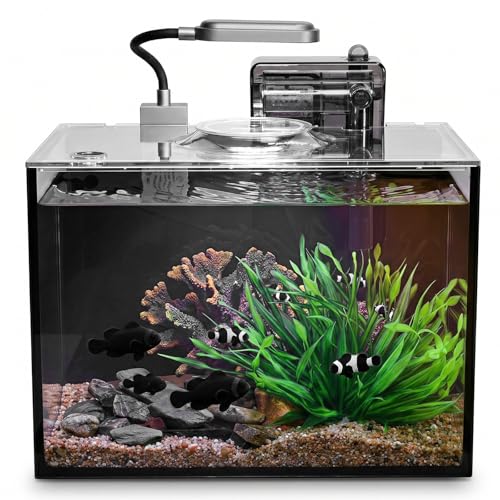 2 Gallon Small Aquarium Set Glass Fish Tank,Desktop Small Aquarium Kit for Beginners and Children to Keep Betta Fish, Goldfish, Shrimp, and Aquatic Plants (Black, 2 Gallon (Complete Kit) ﻿) - size: 2 Gallon (Complete Kit) ﻿