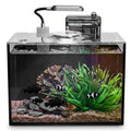 2 Gallon Small Aquarium Set Glass Fish Tank,Desktop Small Aquarium Kit for Beginners and Children to Keep Betta Fish, Goldfish, Shrimp, and Aquatic Plants (Black, 2 Gallon (Complete Kit) ﻿) - size: 2 Gallon (Complete Kit) ﻿