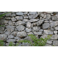 Rock Wall Aquarium Background Natural Stone Fish Tank Background Rocky Glass Stone Wall Green Plants Aquarium Backgrounds Rocky Stones Walls Reptile Tank Enclosure Backgrounds Wallpaper 24x16in - color: Grey, size: 24(W)x16(H)inches/ 60(W)*40cm(H)