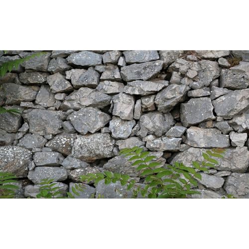 Rock Wall Aquarium Background Natural Stone Fish Tank Background Rocky Glass Stone Wall Green Plants Aquarium Backgrounds Rocky Stones Walls Reptile Tank Enclosure Backgrounds Wallpaper 24x16in - color: Grey, size: 24(W)x16(H)inches/ 60(W)*40cm(H)