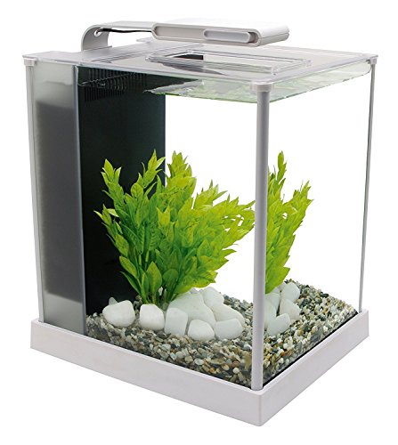 Fluval SPEC III Aquarium Kit, Aquarium with LED Lighting and 3-Stage Filtration System, 2.6 Gallon, White, 10517A1 - color: White, size: 2.6 Gal.